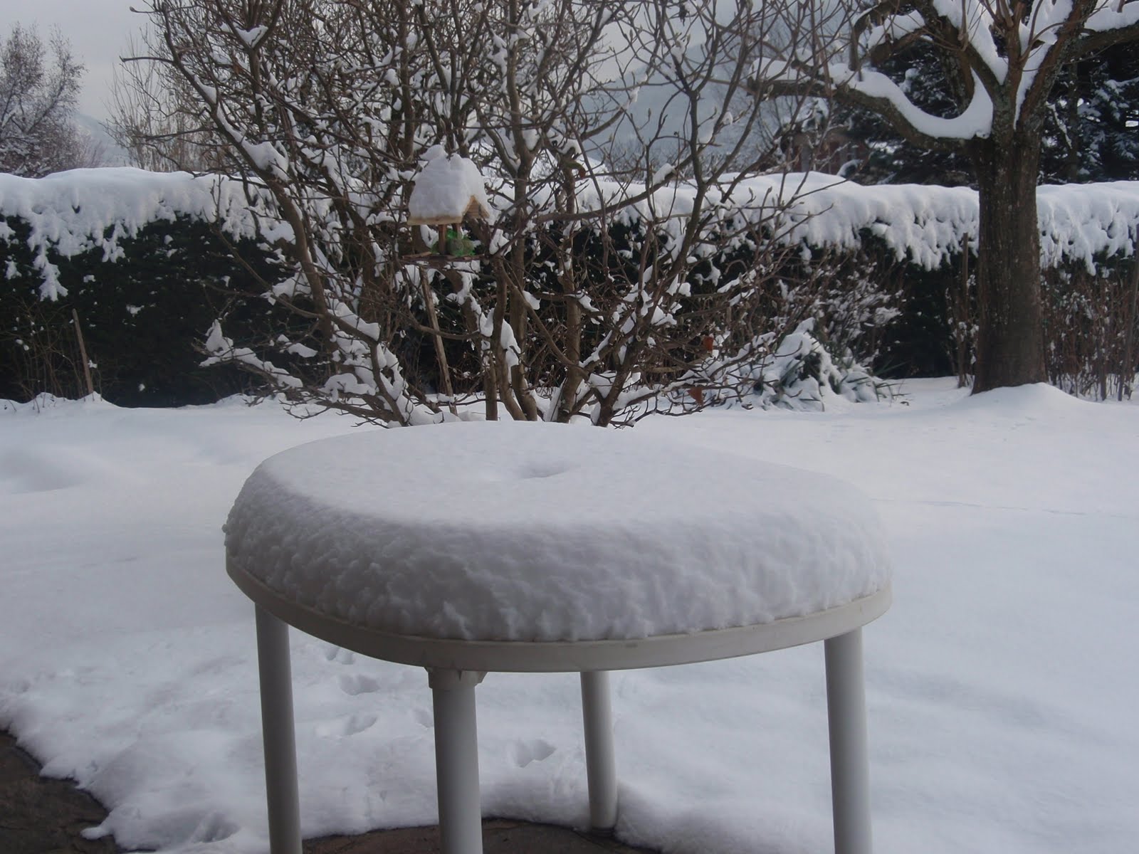 [NEIGE.jpg]