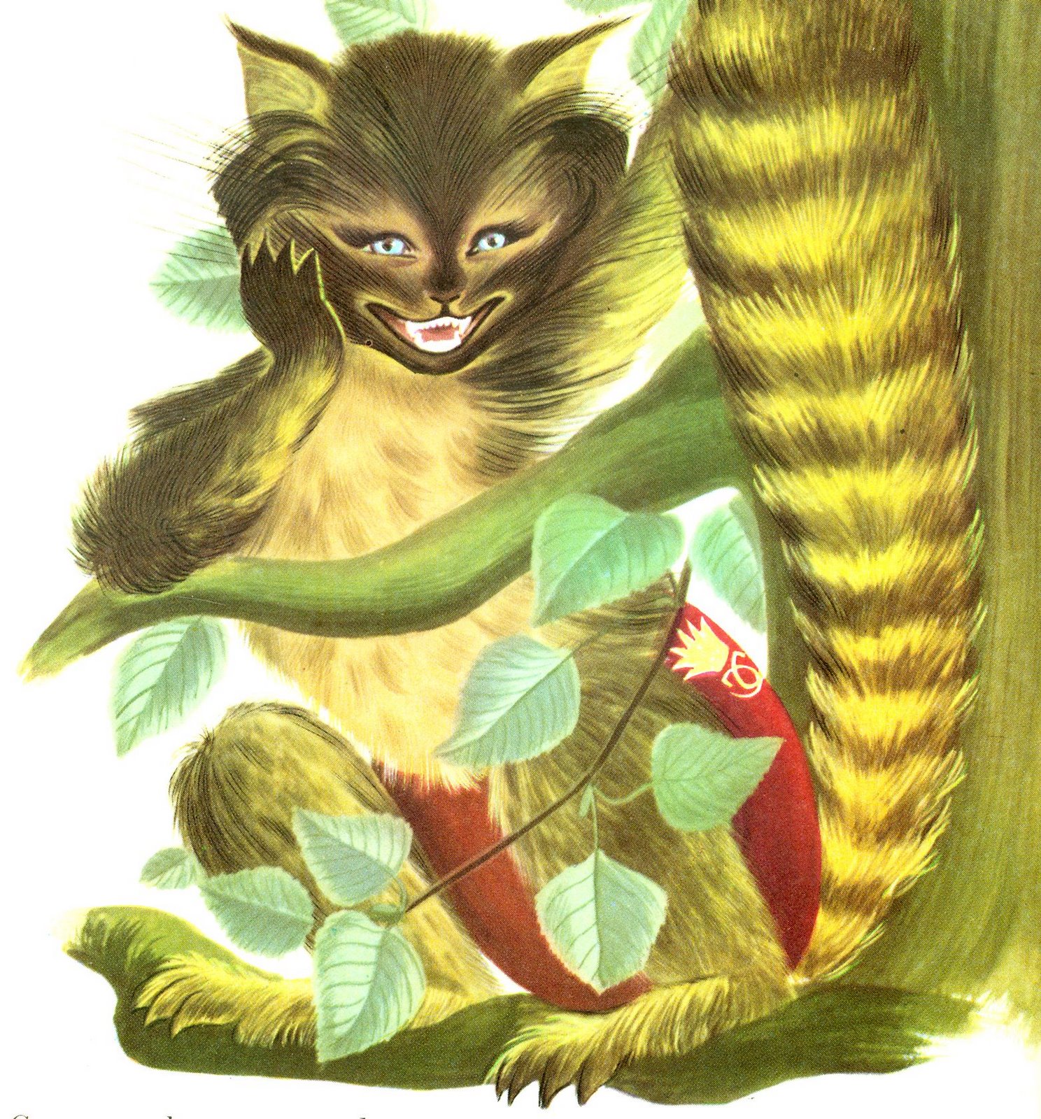 [Gato]