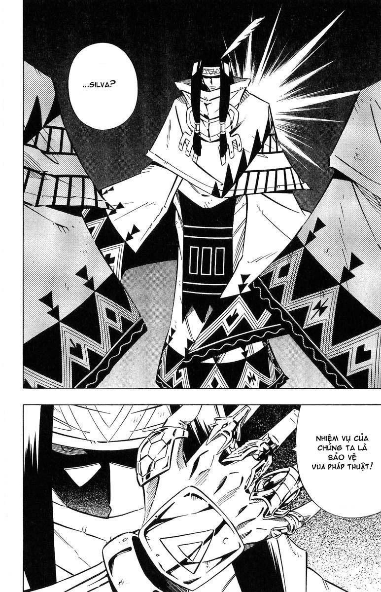 Shaman King [Vua pháp thuật]