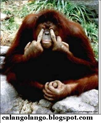 [monkey_finger.jpg]