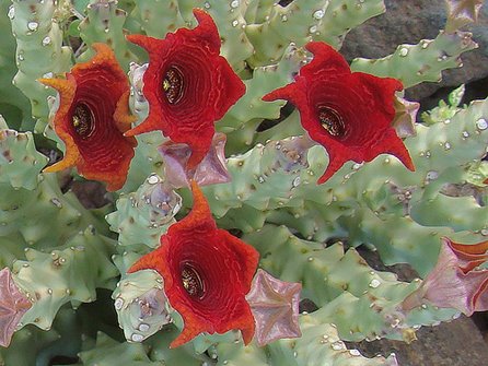 [9eaa71fb0f9a2249eeb68871f14a3e4b.jpg]