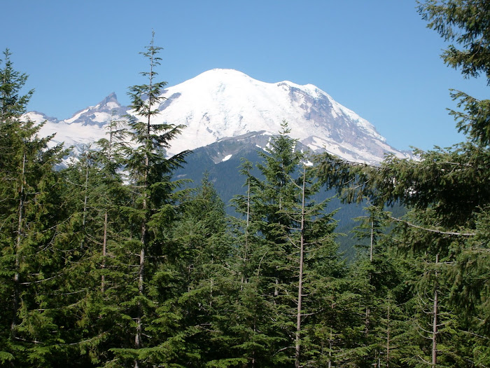 Mt, Rainier