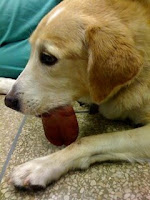 Women+body+parts+name+with+picture