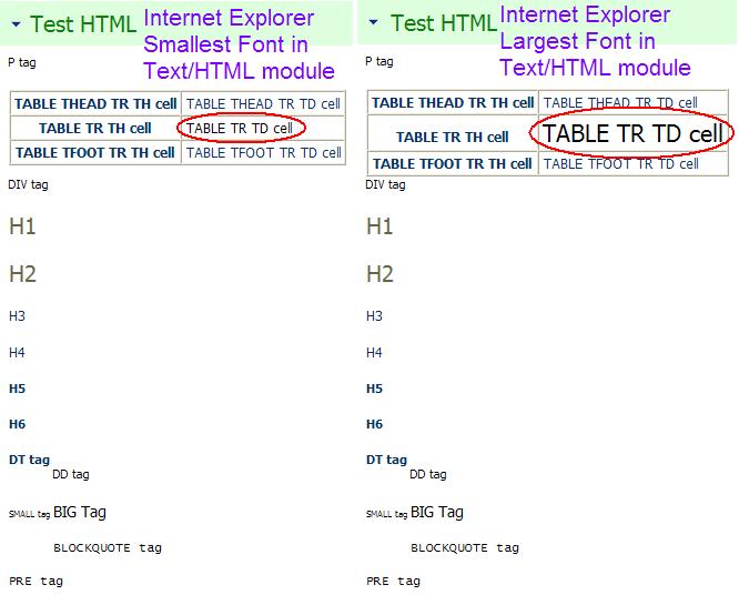 [DNN_TextModule_IE_FontChanges.JPG]