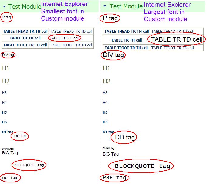[DNN_CustomModule_IE_FontChanges.JPG]