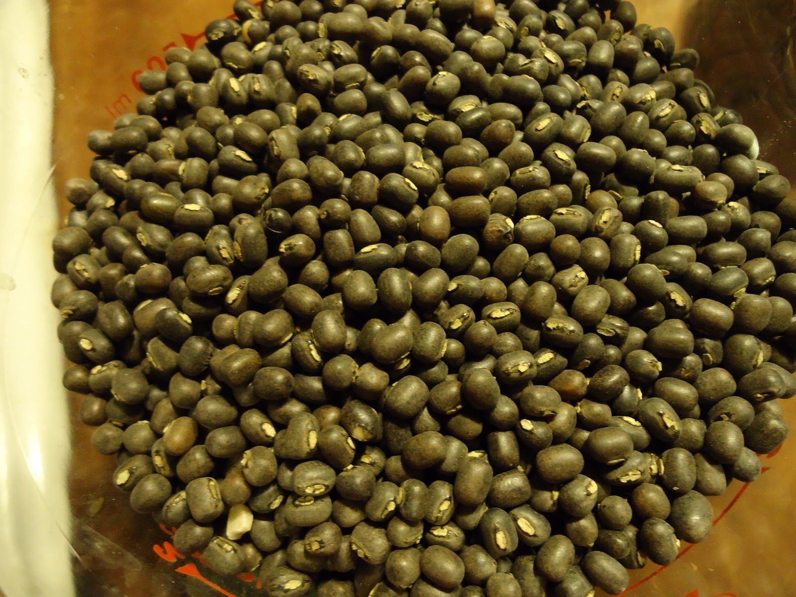 Get Skinny, Go Vegan. Vegan Black Lentils with Kidney Beans from "The