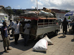 Transporte público