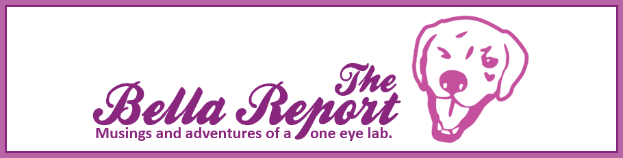 The Bella Report