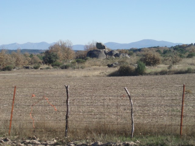 [P1010296.JPG]