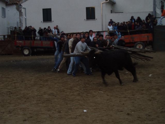 [P1010213.JPG]