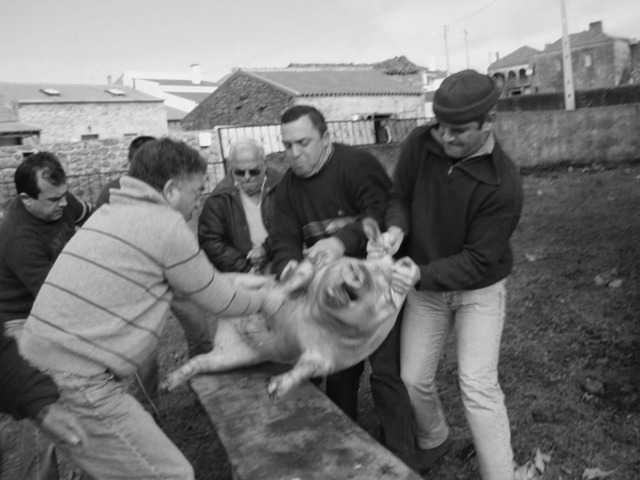 [P1010227.JPG]