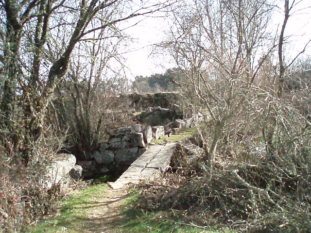 [P1010210.JPG]
