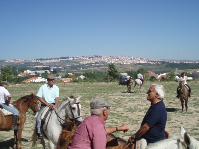 [P1010253.JPG]