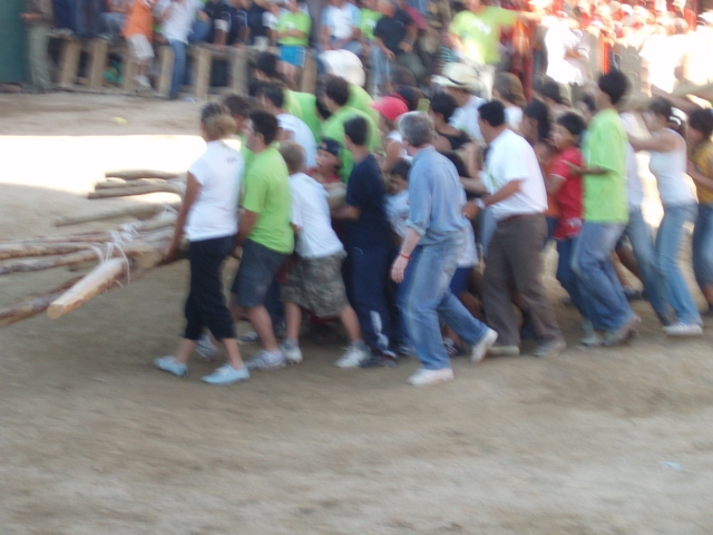 [P1010333.JPG]