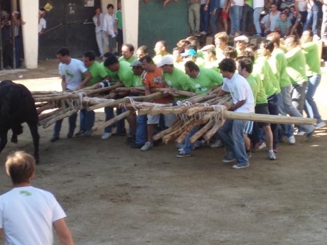[P1010284.JPG]