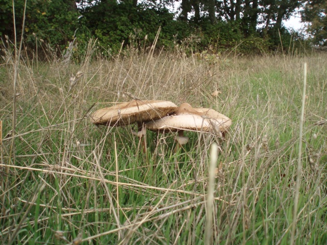 [P1010069.JPG]