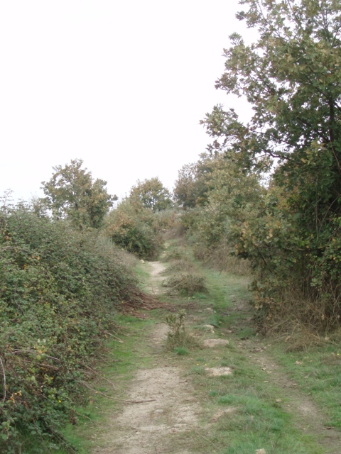 [P1010081.JPG]