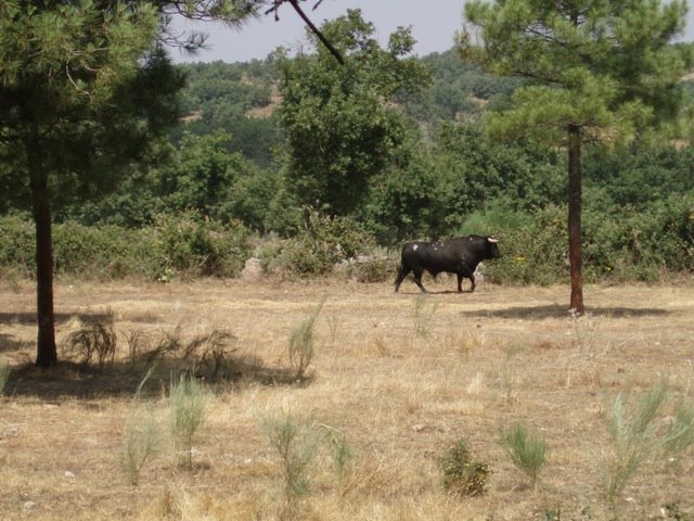 [P1250009.JPG]