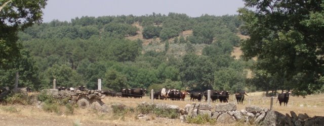 [P1250017.JPG]