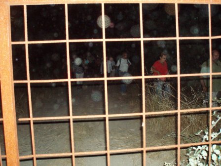 [forcalhos+2008+059.JPG]
