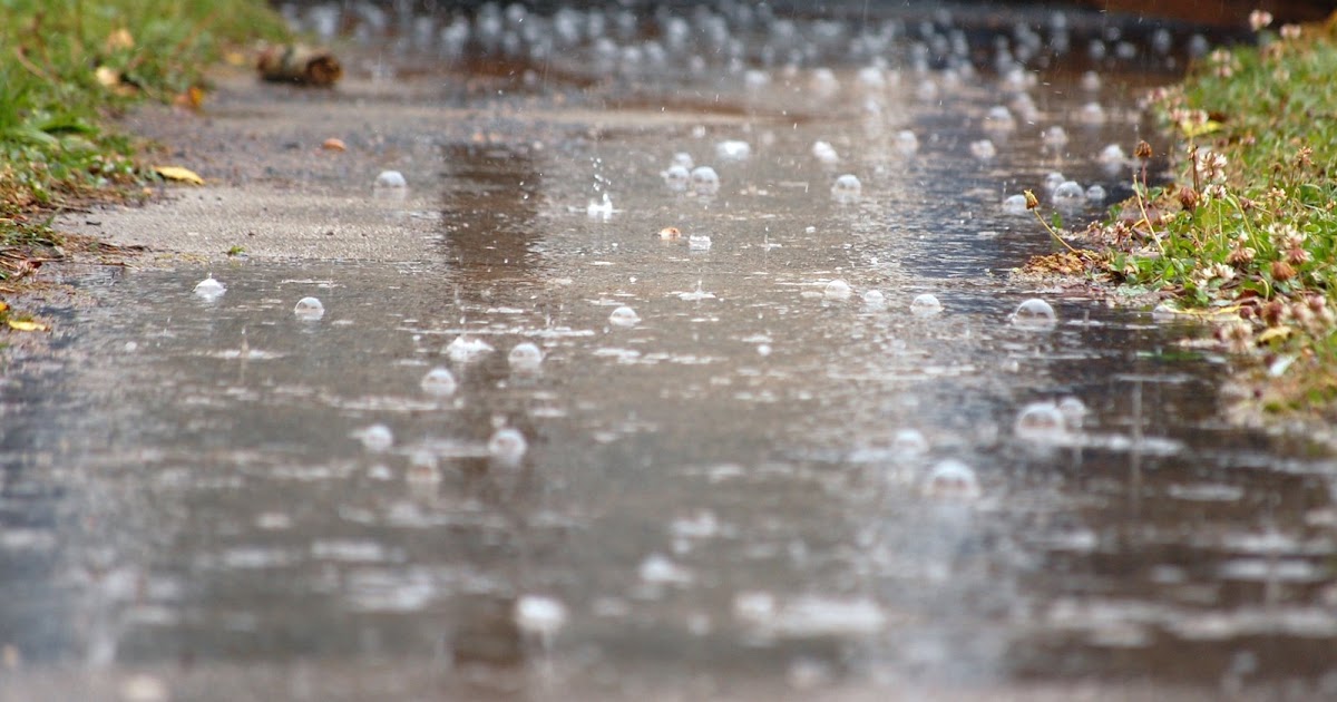 No Compromise Ministries Gentle Rain