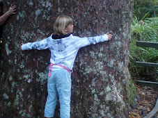 Hug a Kauri tree.
