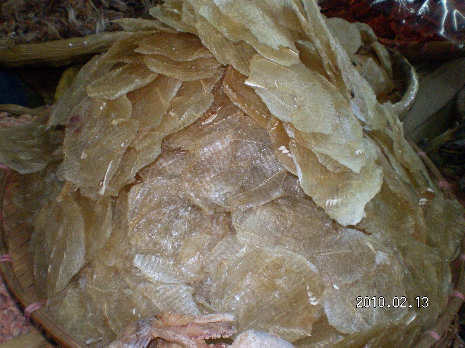 TODAY BUWAD(DRIED FISH) NG CEBU