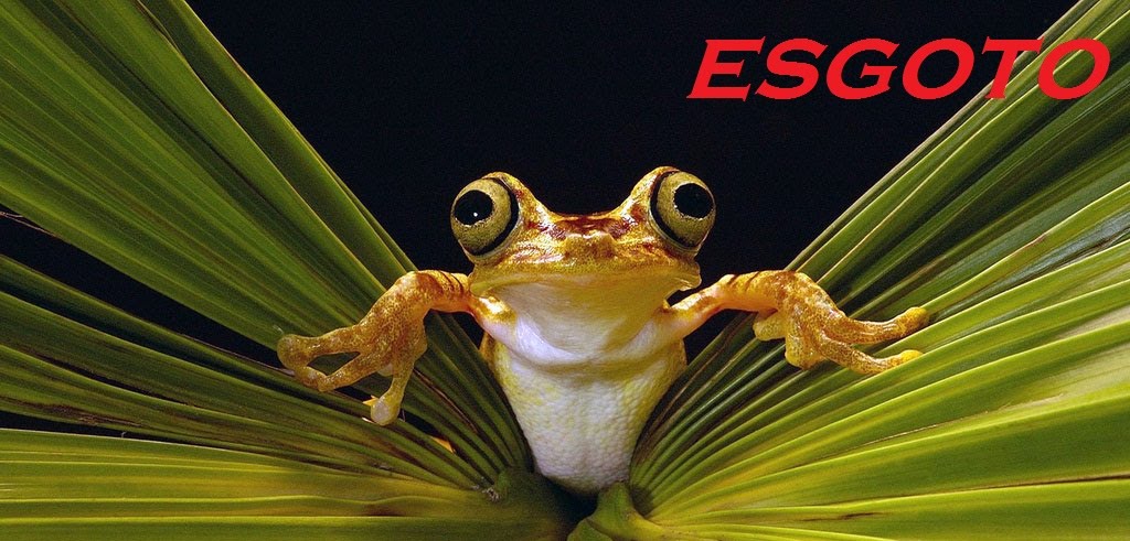 Esgoto