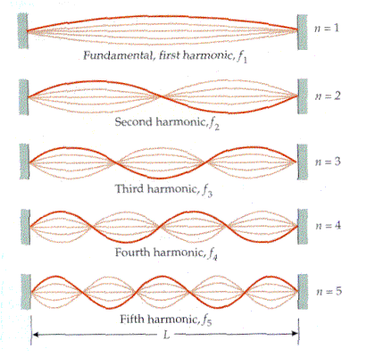 الوحدة الرابعة الموجات وتطبيقاتها أنواع الموجات