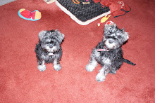 Max (left) and JD (right)