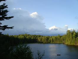 The Most Beautiful View in the World: Algonquin Park