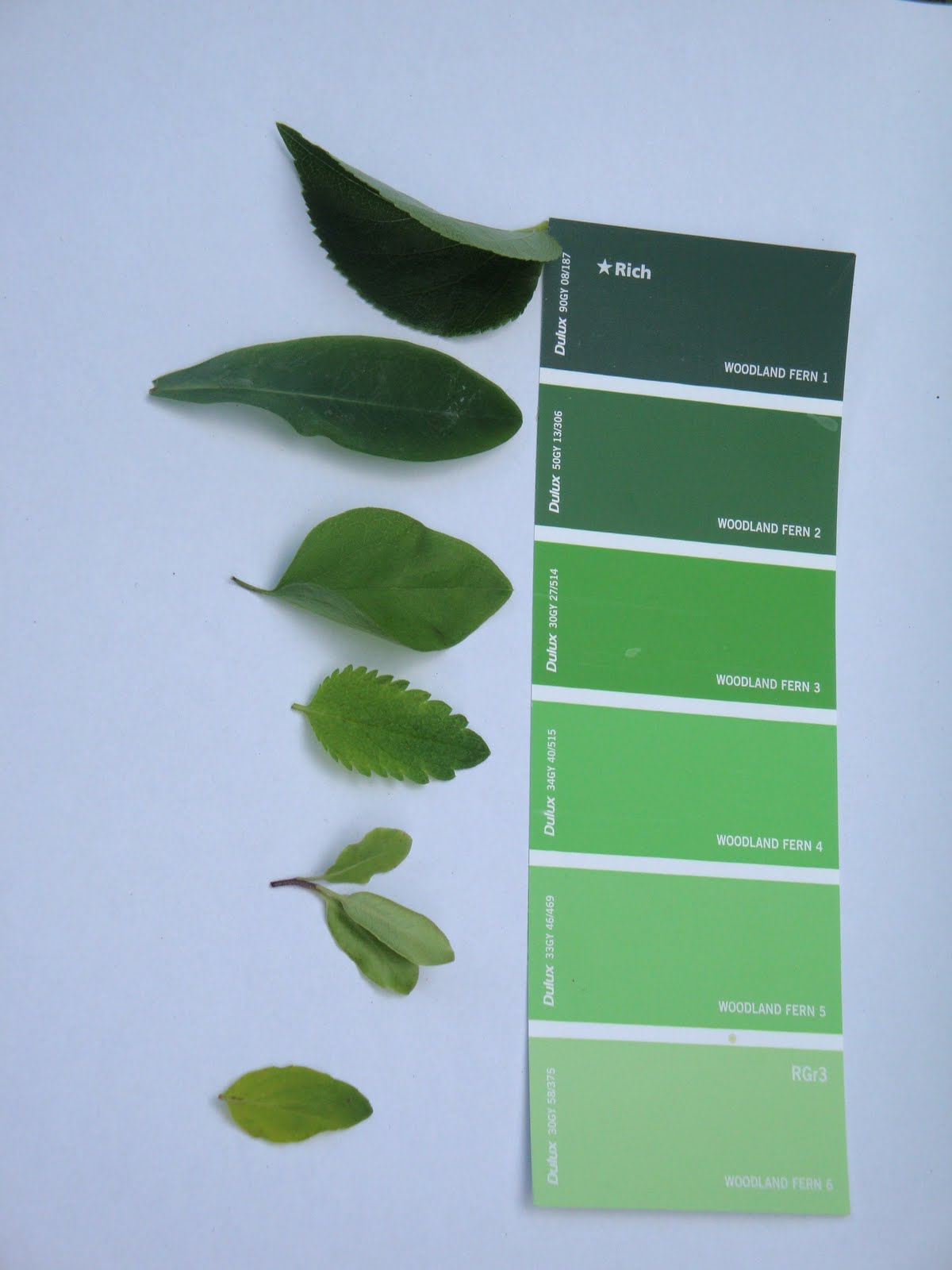 Green Leaf Matchng Game for kids Kidsinthegarden