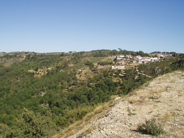 [P1010080.JPG]