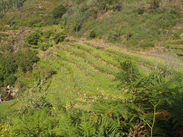 [P1010085.JPG]