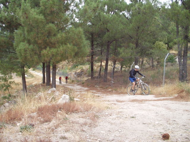 [P1010006.JPG]