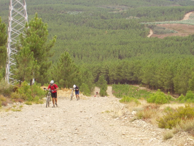 [P1010050.JPG]