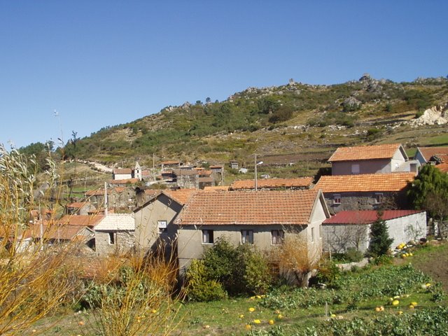[P1010039.JPG]