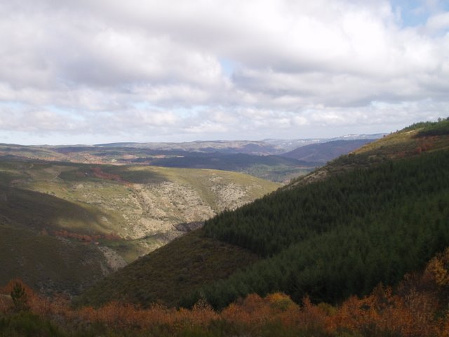[P1010014.JPG]