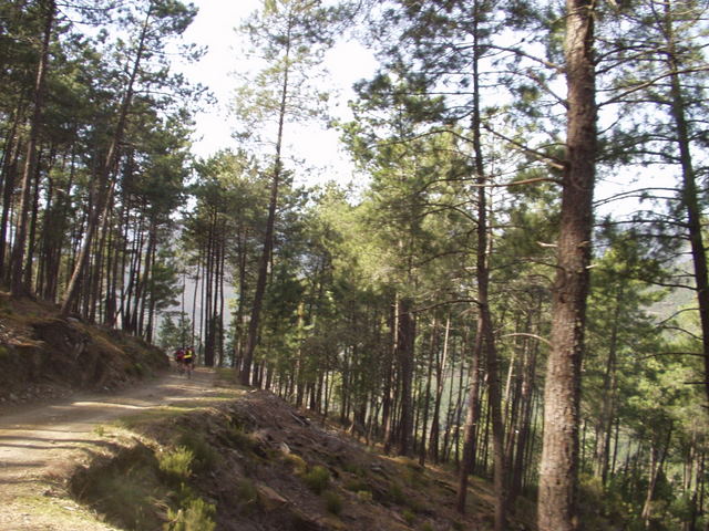 [P1010116.JPG]