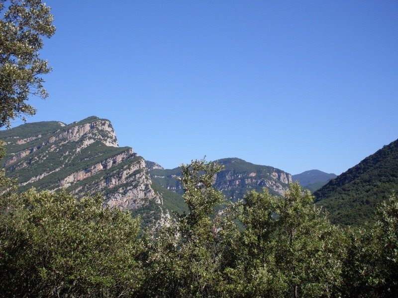 [SDC10351.JPG]