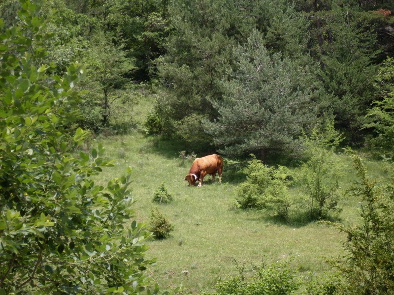 [SDC10371.JPG]