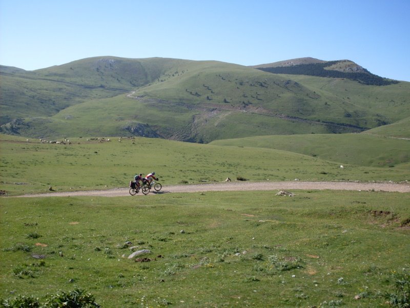 [SDC10466.JPG]