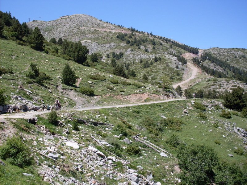 [SDC10503.JPG]