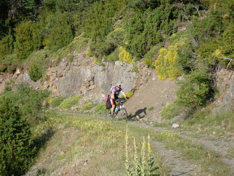 [SDC10742.JPG]