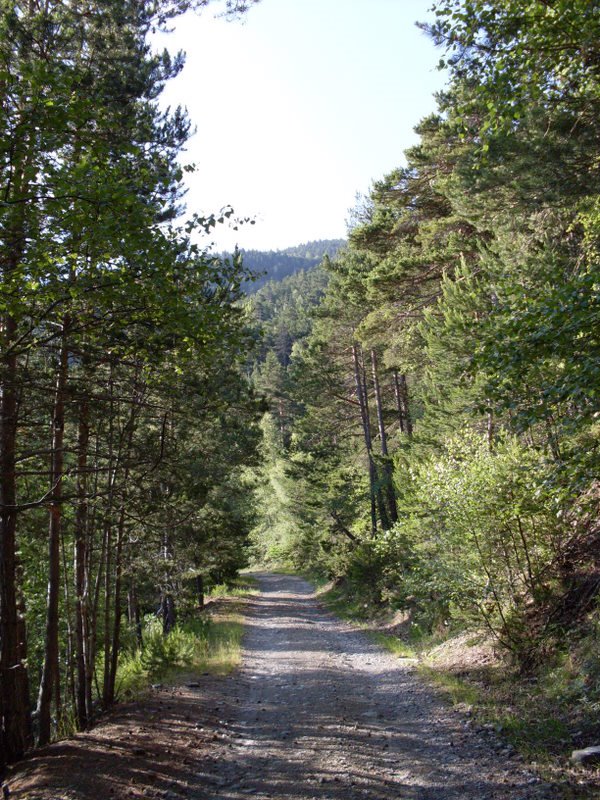 [SDC10612.JPG]