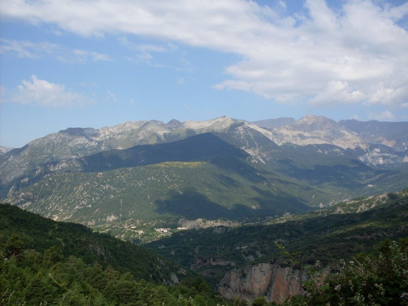 [SDC10755.JPG]