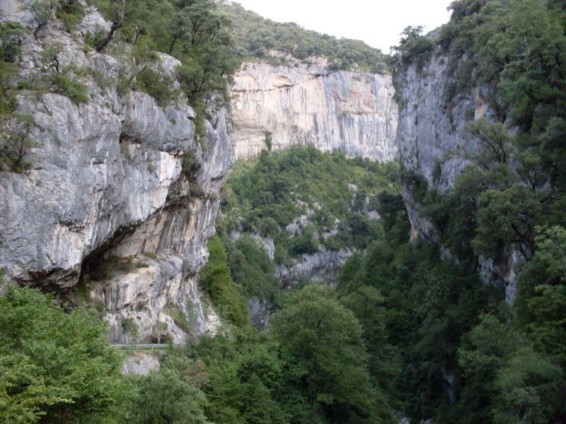 [SDC10833.JPG]