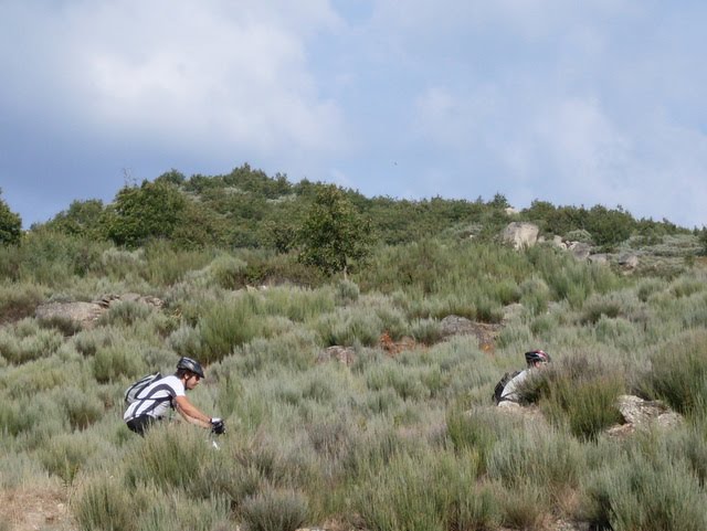 [SDC11463.JPG]