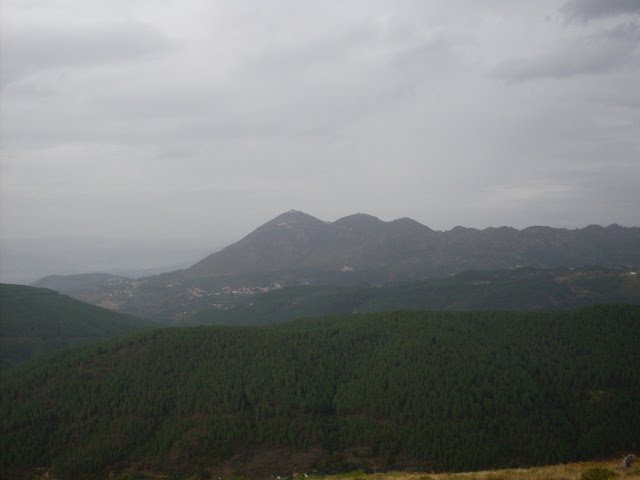 [SDC11681.JPG]