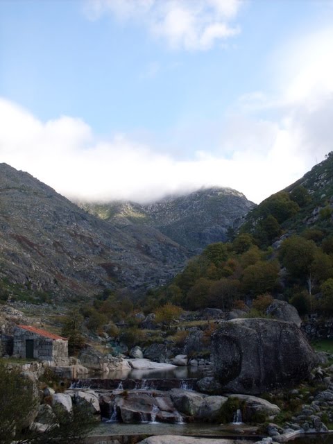 [SDC11718.JPG]